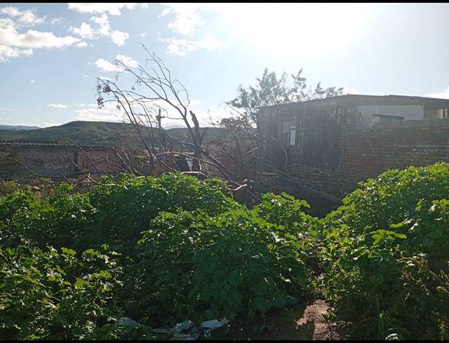 388M² VACANT LAND FOR SALE IN GERALD SMITH